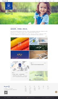 專注數字未來 佛山市火龍科技——您的網站設計、軟件開發與移動互聯網一體化解決方案專家